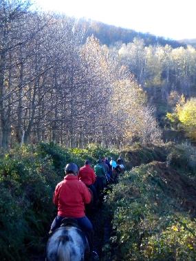 Cama y desayuno en San Marco in Lamis (Foggia)Casa de vacaciones
