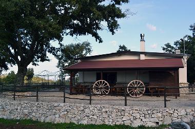 Cama y desayuno en San Marco in Lamis (Foggia)Casa de vacaciones