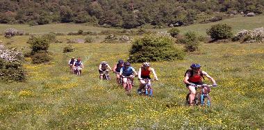 Cama y desayuno en San Marco in Lamis (Foggia)Casa de vacaciones