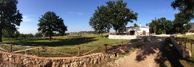 Cama y desayuno en San Marco in Lamis (Foggia)Casa de vacaciones