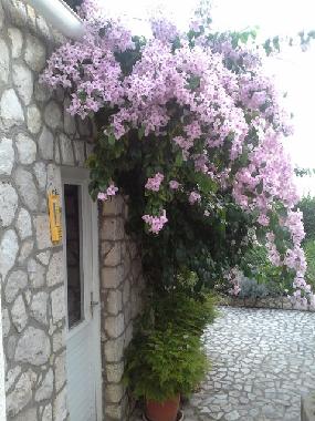 Apartamento de vacaciones en Dubrovnik (Dubrovacko-Neretvanska)Casa de vacaciones