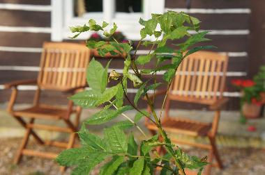 Casa de vacaciones en Jivka - Janovice (Kralovehradecky Kraj)Casa de vacaciones