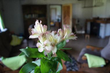 Casa de vacaciones en Jivka - Janovice (Kralovehradecky Kraj)Casa de vacaciones