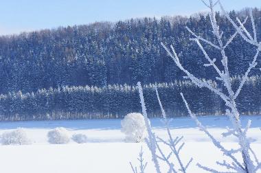 Casa de vacaciones en Jivka - Janovice (Kralovehradecky Kraj)Casa de vacaciones