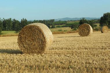 Villa en Riudarenes (Girona)Casa de vacaciones