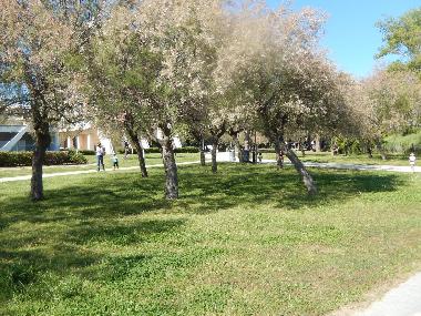 Apartamento de vacaciones en LA GRANDE MOTTE (H�rault)Casa de vacaciones