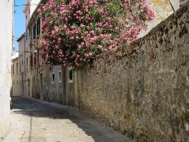 Apartamento de vacaciones en Koper (Koper)Casa de vacaciones