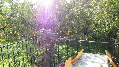 Apartamento de vacaciones en Pelion (Magnisia)Casa de vacaciones