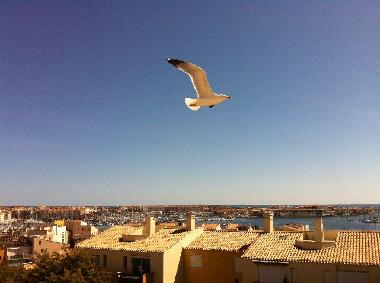 Apartamento de vacaciones en cap d'agde (H�rault)Casa de vacaciones