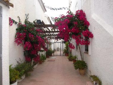 Apartamento de vacaciones en Torrevieja (Murcia)Casa de vacaciones