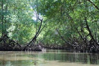 Apartamento de vacaciones en Canavieiras (Bahia)Casa de vacaciones