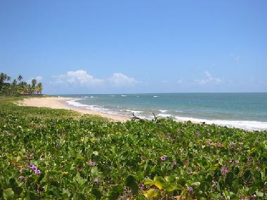 Casa de vacaciones en Cama�ari (Bahia)Casa de vacaciones