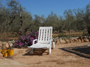 Villa en Amposta (Tarragona)Casa de vacaciones