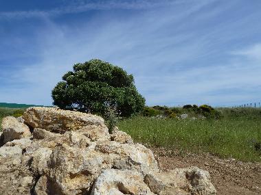 Villa en Azoia (Pennsula de Setbal)Casa de vacaciones