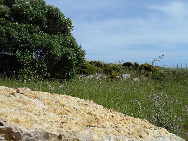 Villa en Azoia (Pennsula de Setbal)Casa de vacaciones