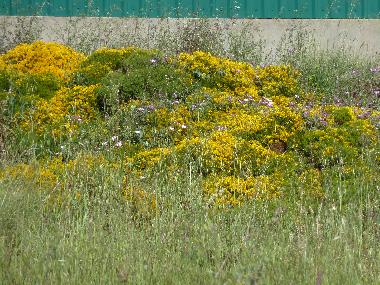Villa en Azoia (Pennsula de Setbal)Casa de vacaciones