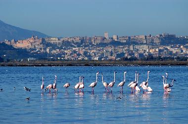Apartamento de vacaciones en Quartu (Cagliari)Casa de vacaciones