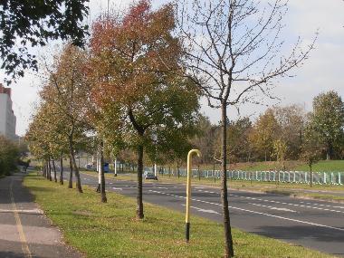 Apartamento de vacaciones en Zagreb (Grad Zagreb)Casa de vacaciones