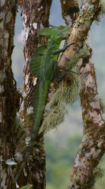 Casa de vacaciones en Turrialba (Cartago)Casa de vacaciones