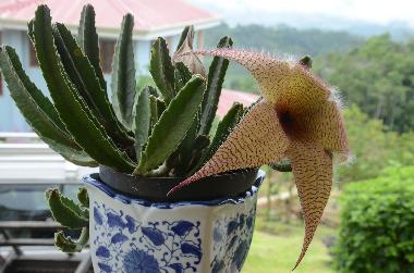 Casa de vacaciones en Turrialba (Cartago)Casa de vacaciones