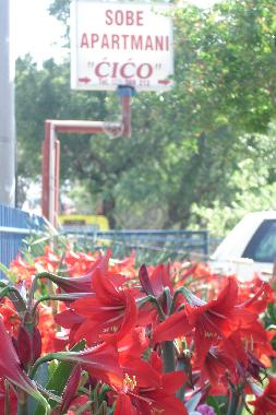 Apartamento de vacaciones en Starigrad Paklenica (Zadarska)Casa de vacaciones