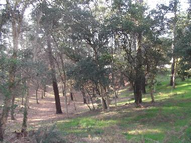 Casa de vacaciones en Seignosse (Landes)Casa de vacaciones