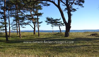 Casa de vacaciones en Binz Ostseebad (Ostsee-Inseln)Casa de vacaciones