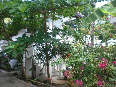 Apartamento de vacaciones en Panglao Bohol (Bohol)Casa de vacaciones