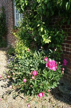 Casa de vacaciones en BRETTEVILLE DU GRAND CAUX (Seine-Maritime)Casa de vacaciones