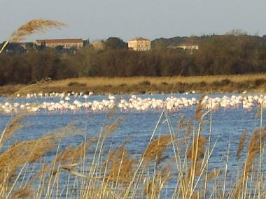 Apartamento de vacaciones en Portiragnes-Plage (Hrault)Casa de vacaciones