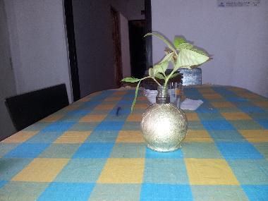 Cama y desayuno en Hikkaduwa (Galle)Casa de vacaciones