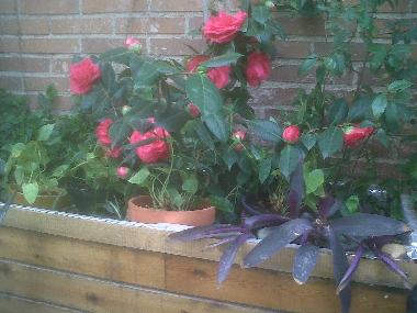 Villa en LARDERO (La Rioja)Casa de vacaciones