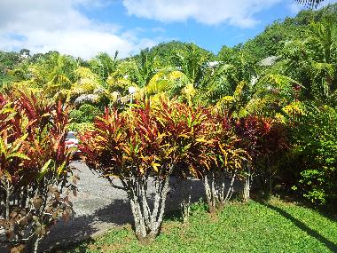 Apartamento de vacaciones en TRINITE (Martinique)Casa de vacaciones