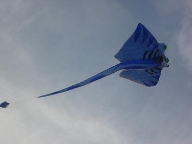 Casa de vacaciones en DIEPPE (Seine-Maritime)Casa de vacaciones