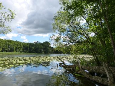 Casa de vacaciones en Bad Freienwalde (Mrkisch-Oderland)Casa de vacaciones