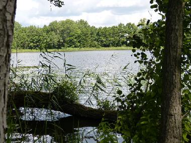 Casa de vacaciones en Bad Freienwalde (Mrkisch-Oderland)Casa de vacaciones