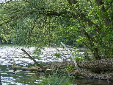 Casa de vacaciones en Bad Freienwalde (Mrkisch-Oderland)Casa de vacaciones