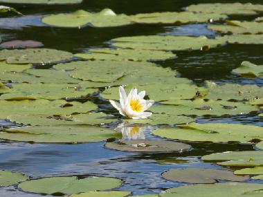 Casa de vacaciones en Bad Freienwalde (Mrkisch-Oderland)Casa de vacaciones