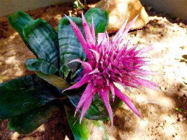 Apartamento de vacaciones en Hoedspruit (Mpumalanga)Casa de vacaciones