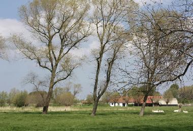 Villa en De Haan aan Zee  (Flandes)Casa de vacaciones