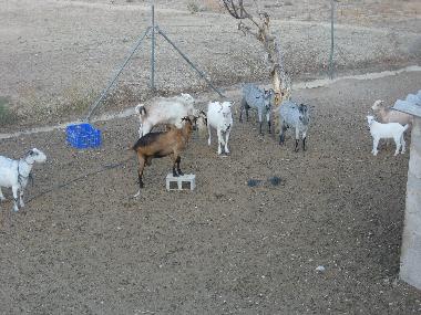 Casa de vacaciones en Jijona (Alicante / Alacant)Casa de vacaciones