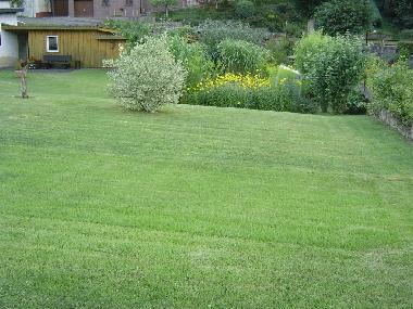 Apartamento de vacaciones en Ahrbrck (Eifel - Ahr)Casa de vacaciones