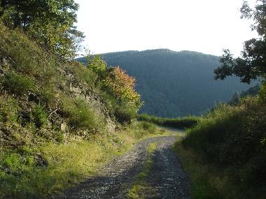 Apartamento de vacaciones en Ahrbrck (Eifel - Ahr)Casa de vacaciones