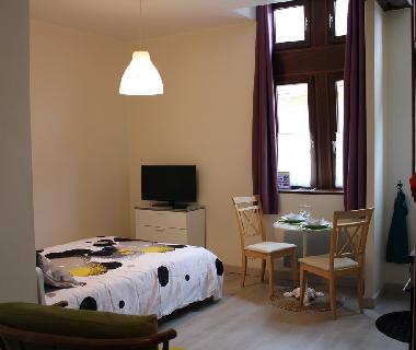 Apartamento de vacaciones en Bar sur Seine (Aube)Casa de vacaciones