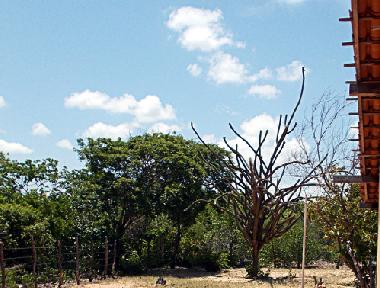 Casa de vacaciones en Icapui (Ceara)Casa de vacaciones