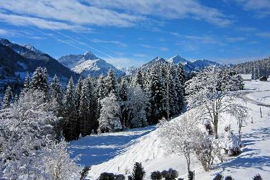 Apartamento de vacaciones en Riezlern  (Bludenz-Bregenzer Wald)Casa de vacaciones