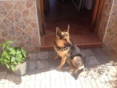 Apartamento de vacaciones en Torrox (Mlaga)Casa de vacaciones