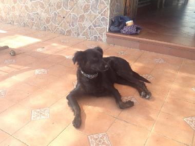 Apartamento de vacaciones en Torrox (Mlaga)Casa de vacaciones