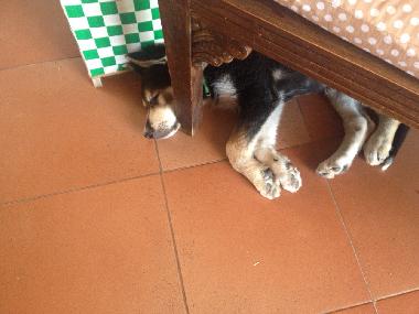 Apartamento de vacaciones en Torrox (Mlaga)Casa de vacaciones