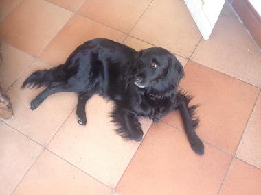 Apartamento de vacaciones en Torrox (Mlaga)Casa de vacaciones